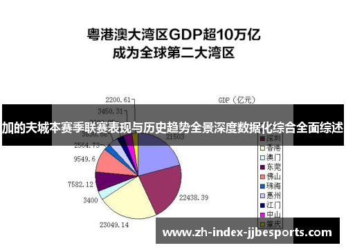 加的夫城本赛季联赛表现与历史趋势全景深度数据化综合全面综述