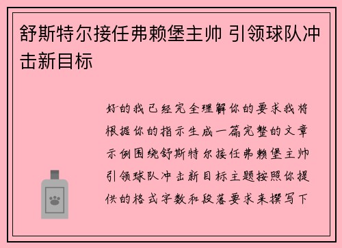 舒斯特尔接任弗赖堡主帅 引领球队冲击新目标